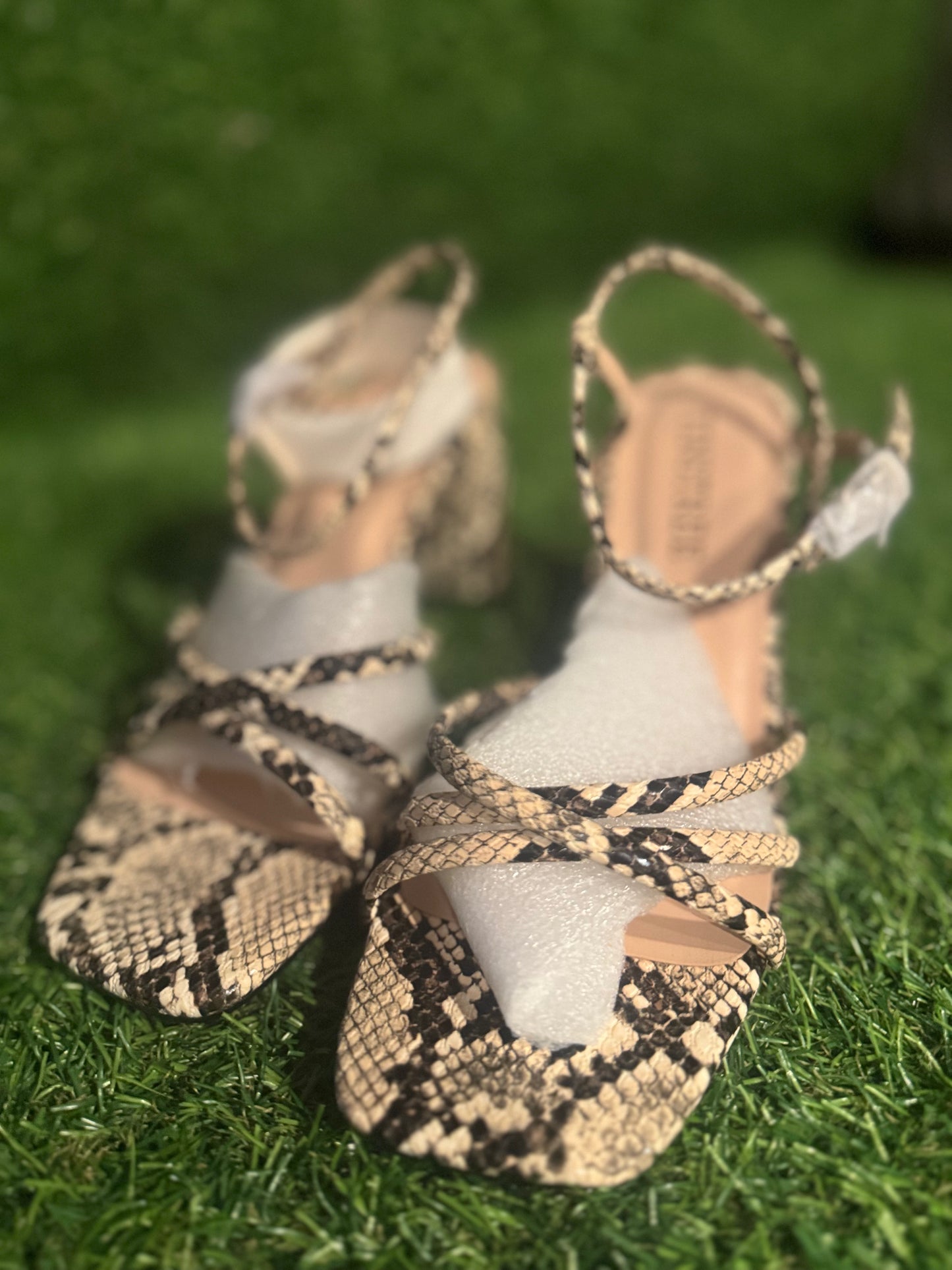 TINSTREE SNAKE HEEL SIZE 6