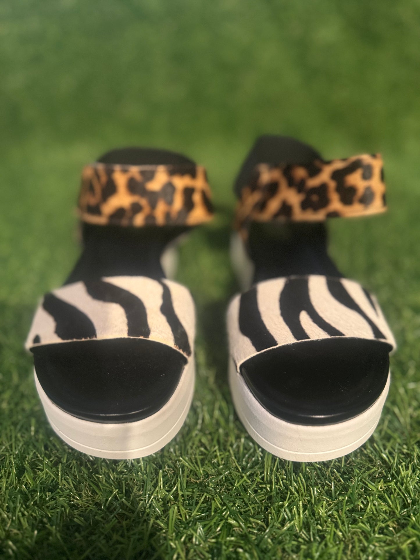 FRANCO SARTO ANIMAL WEDGE SANDAL SIZE 5