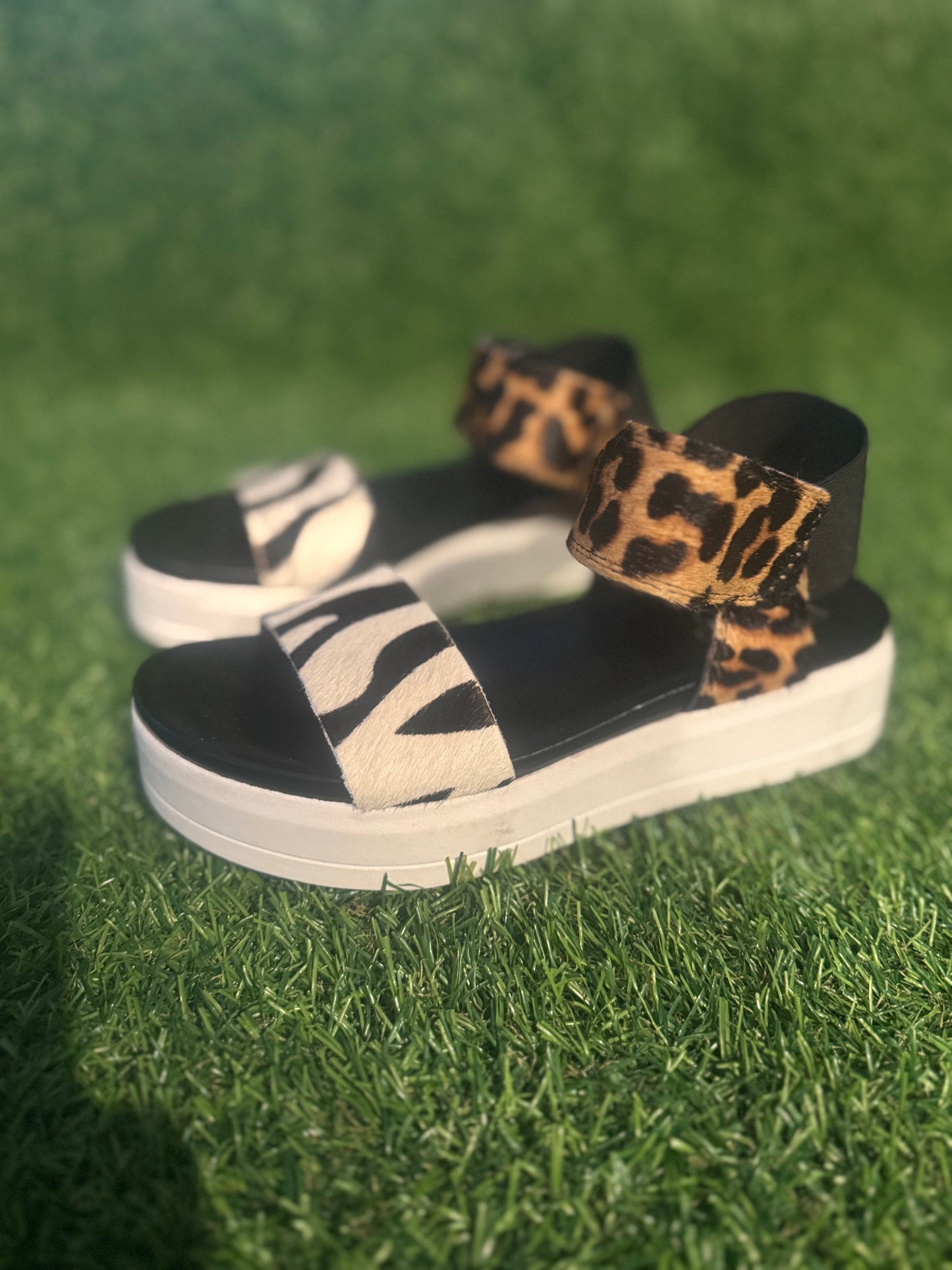 FRANCO SARTO ANIMAL WEDGE SANDAL SIZE 5