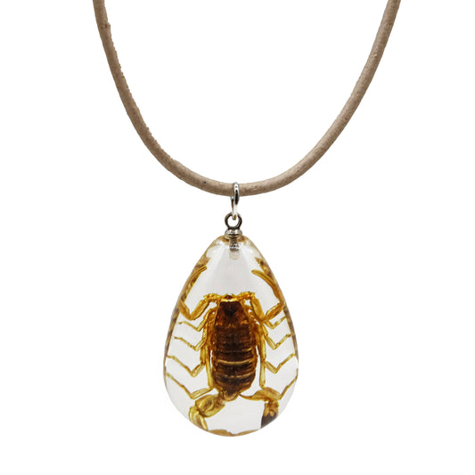 Real Scorpion Pendant Necklace – 20” Leather Cord